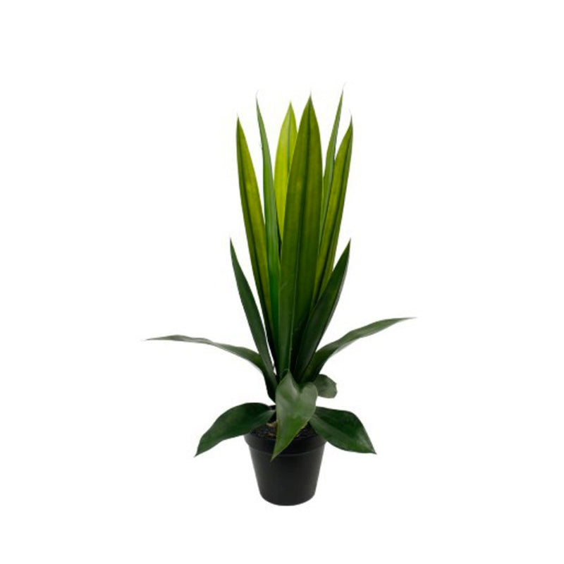 A touch of Artificial Flora's Aloe Bush Potted 60cm in a black nursery pot on a white background.