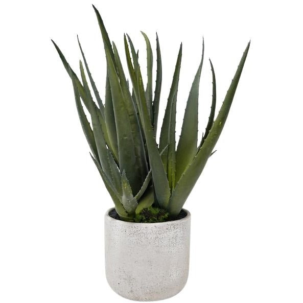 Lifelike aloe plant with green spikes in cement pot
