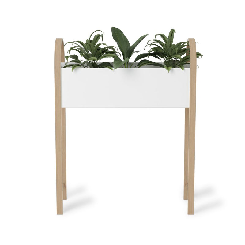 A versatile Umbra planter solution featuring a white BELLWOOD STORAGE / PLANTER with wooden legs, perfect for indoor plants.