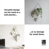 Versatile design can be used as a storage for small items or indoor plants, such as the Trigg Wall Vessel | Large - White/Brass by Umbra.