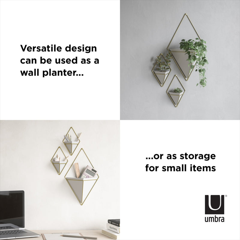 Versatile design can be used as a storage for small items or indoor plants, such as the Trigg Wall Vessel | Large - White/Brass by Umbra.
