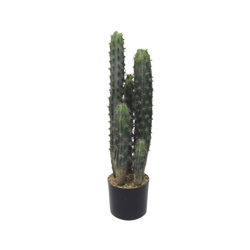 An Artificial Flora Cactus Potted 72cm in a black pot on a white background.