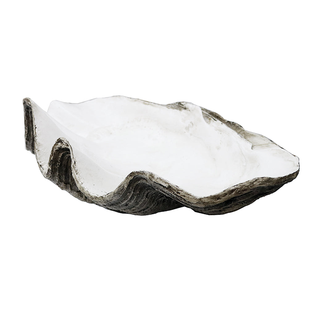 Resin clam shell dish with a scalloped edge and smooth white interior, on a white background