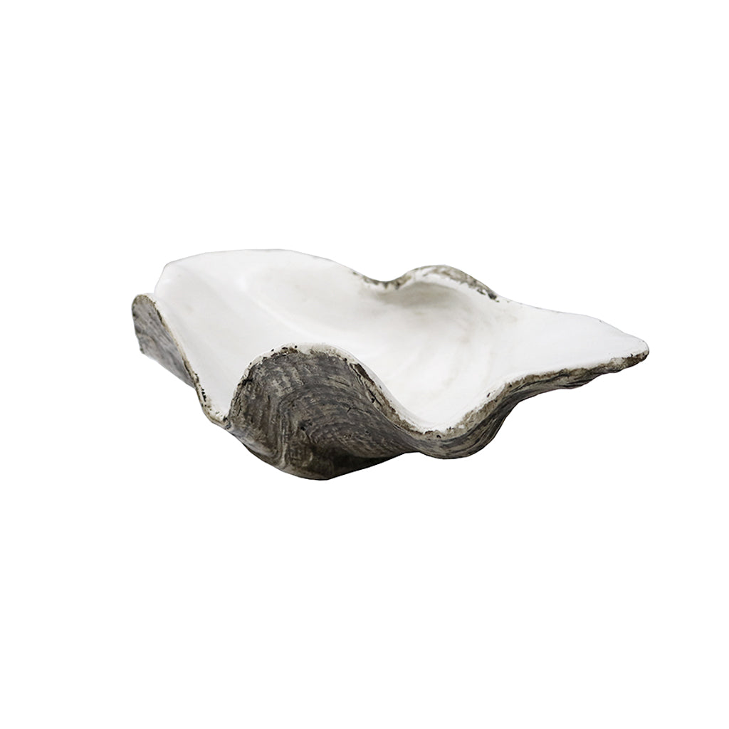 Resin clam shell dish seen side on, showing the ridged shell textured base