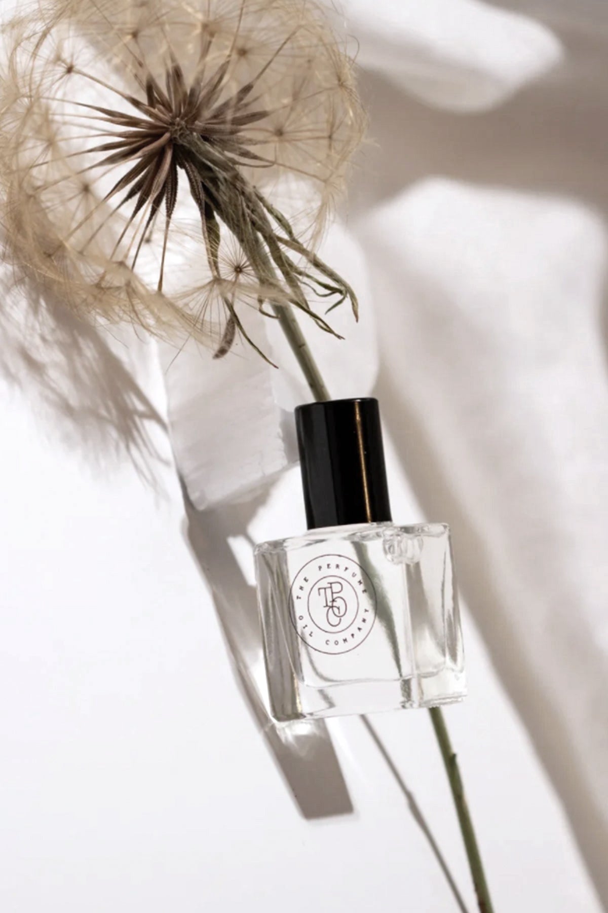 Perfume oil bottle beside a dried dandelion seed head