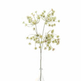 Artificial Flora's Dried Dill Spray in a glass vase on a white background.