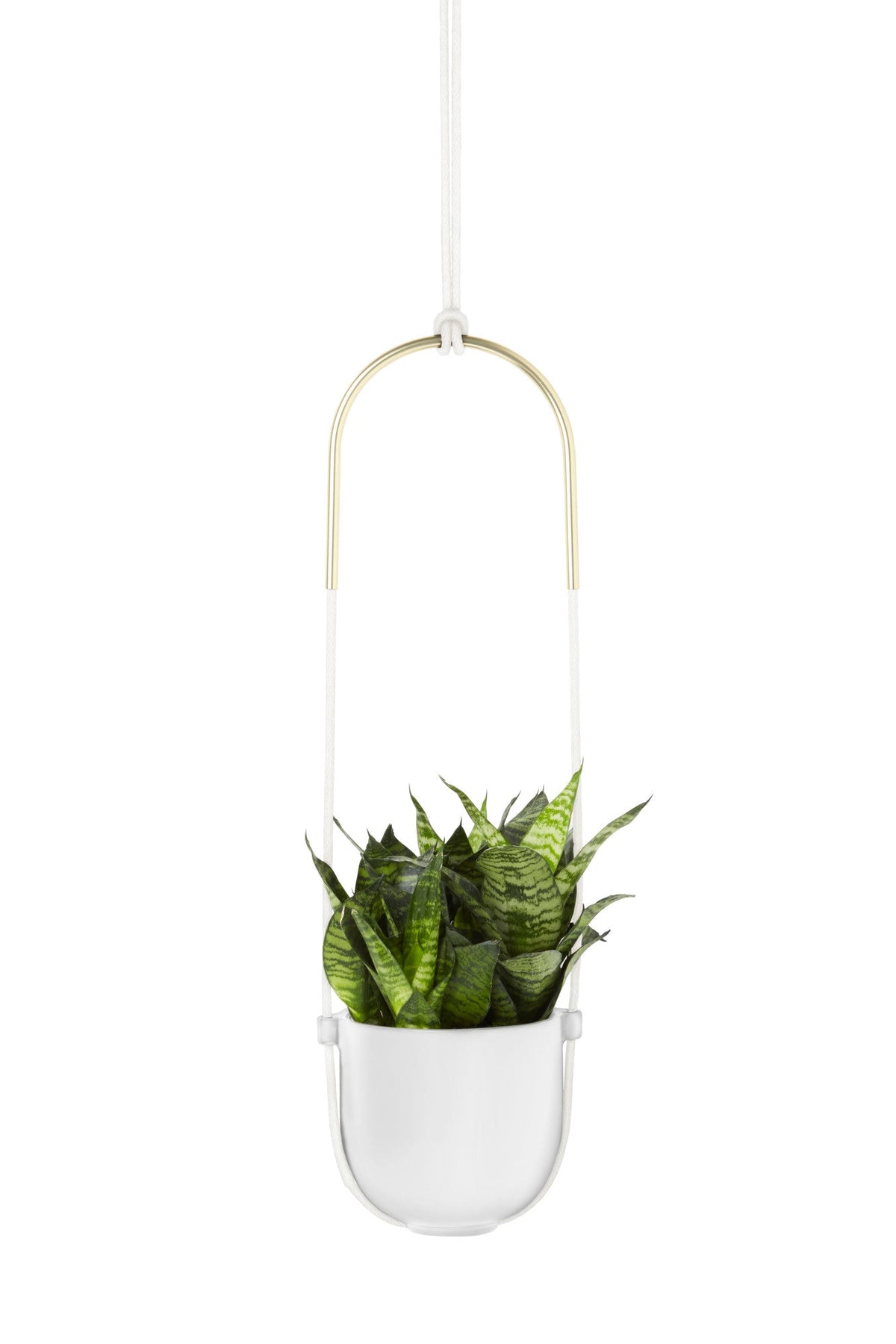 A black Bolo Planter from the Umbra range.