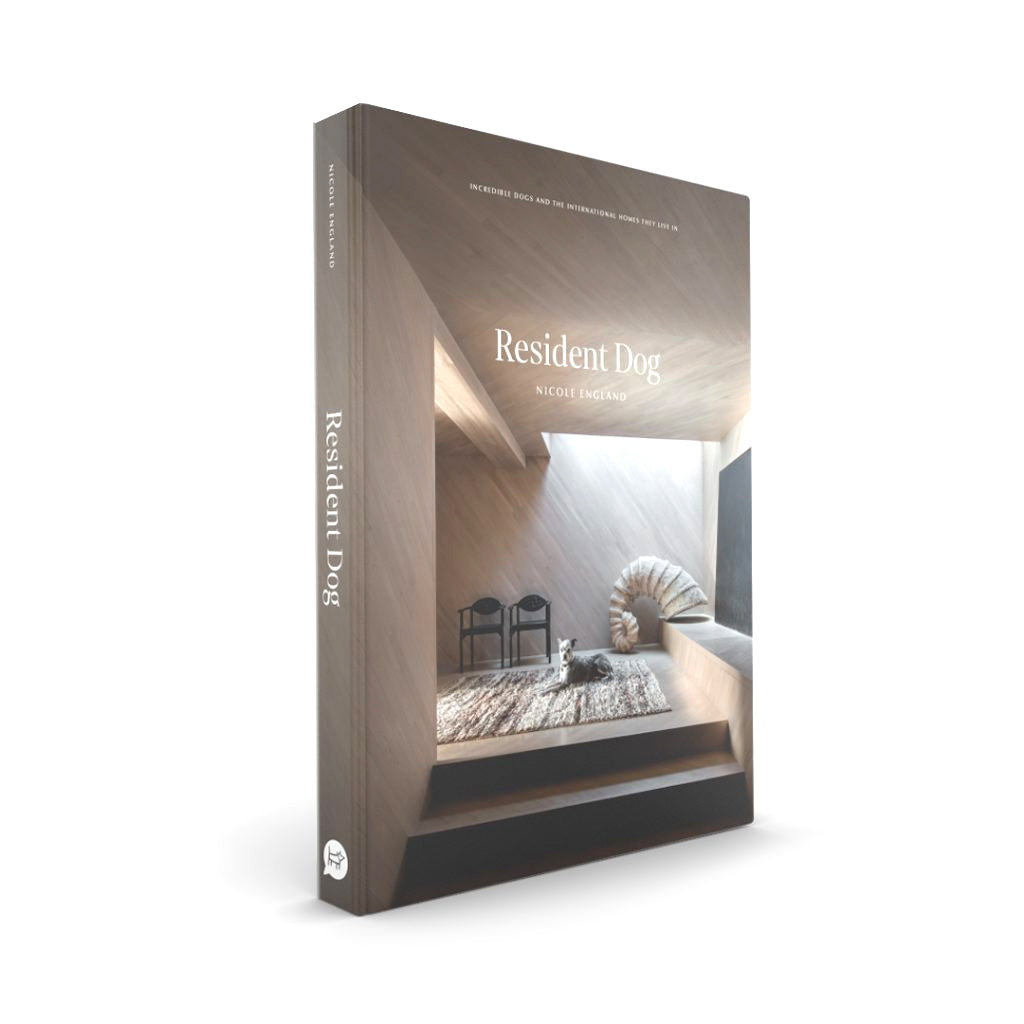 A Resident Dog Volume 2 | Nicole England book.