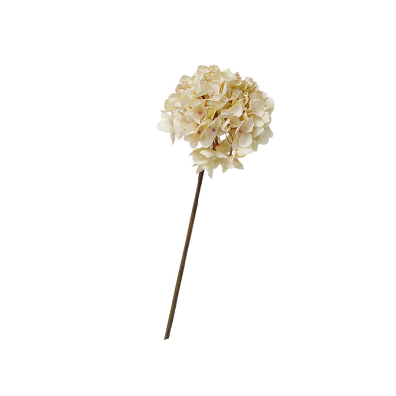 A Dried-Look Hydrangea Cream on a stick against a white background, showcasing Artificial Flora's artificial floral styling.