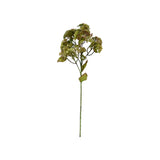 Sedum Spray Green 58cm