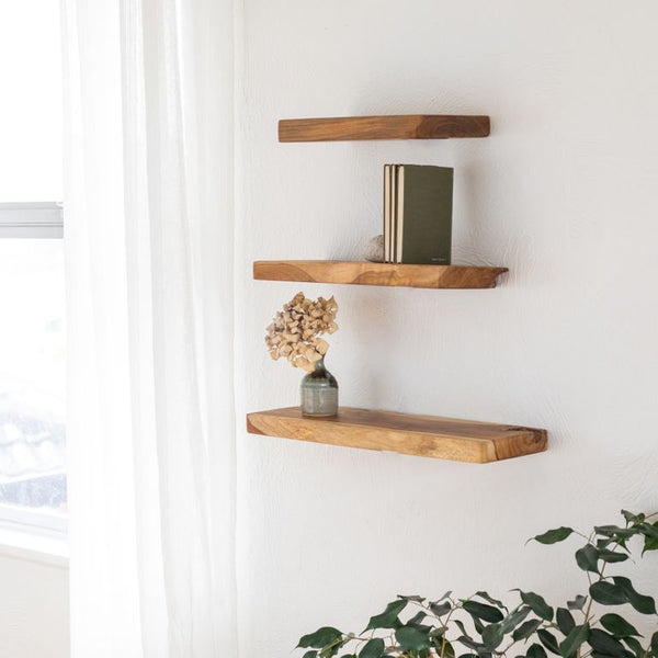 Three Flux Home Reclaimed Teak Floating Shelves - Straight floating on a wall next to a plant.