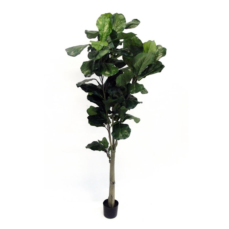 An Artificial Flora Potted Fiddle Tree Single Trunk on a white background - expert advice, recommendations.