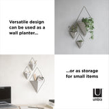 These decorative vessels, known as Umbra Trigg Wall Vessels, can be used as a storage for small items or as a stylish accent piece for indoor plants.