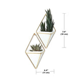 This Umbra Trigg Wall Vessel - White / Nickel | Small Set of Two features a white and gold planter, showcasing two indoor plants in an elegant and stylish manner.