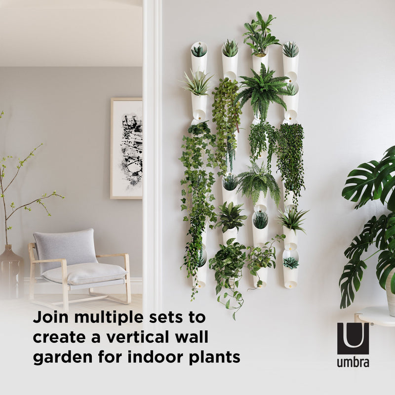 Use the Umbra range and Umbra Floralink wall vessels to create a DIY green wall, perfect for indoor plants.