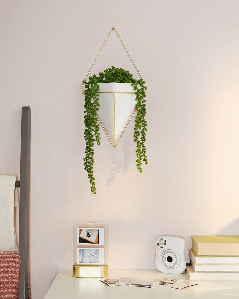 An indoor room with an Umbra Trigg Wall Vessel | Large - White/Brass showcasing a lovely plant.