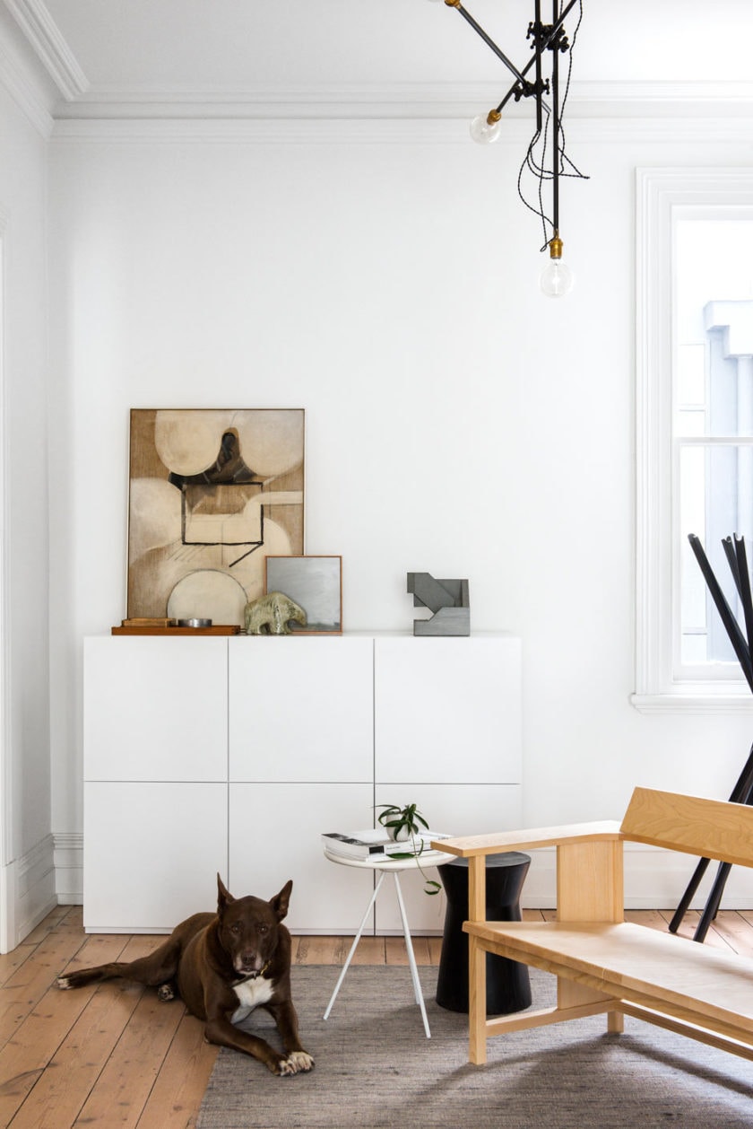 A white living room with Resident Dog Volume 2 | Nicole England laying on the floor.