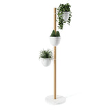 Three Floristand Planter - White/Natural potted plants on a wooden stand by Umbra.