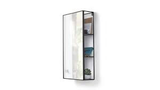 A Cubiko Mirror & Storage Unit in black from the Umbra range with a plant on it, perfect for small space living.