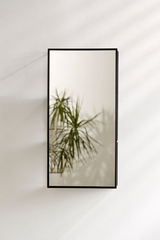 A trendy Cubiko Mirror & Storage Unit - Black from the Umbra range designed for small space living, featuring a unique Cubiko design and adorned with a stylish plant decoration.