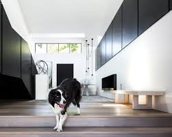 A Resident Dog Volume 2 | Nicole England book is walking down the stairs in a modern house.