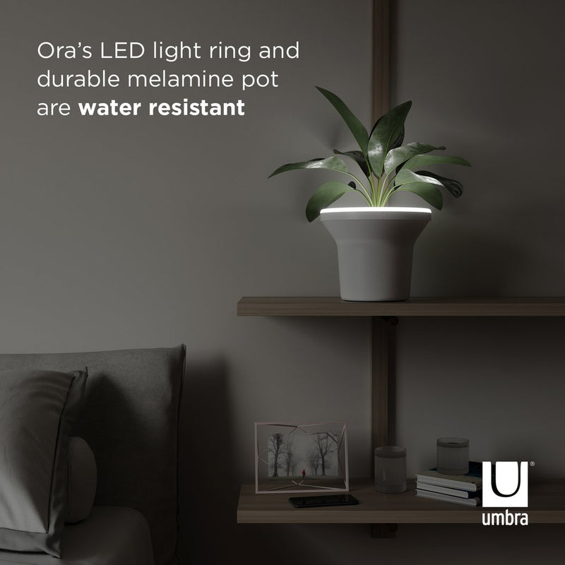 Umbra's ORA ILLUMINATED PLANTER is water resistant.