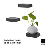 Each Set (3) Showcase Shelves - Black in the Umbra brand range can hold up to 2 kg.
