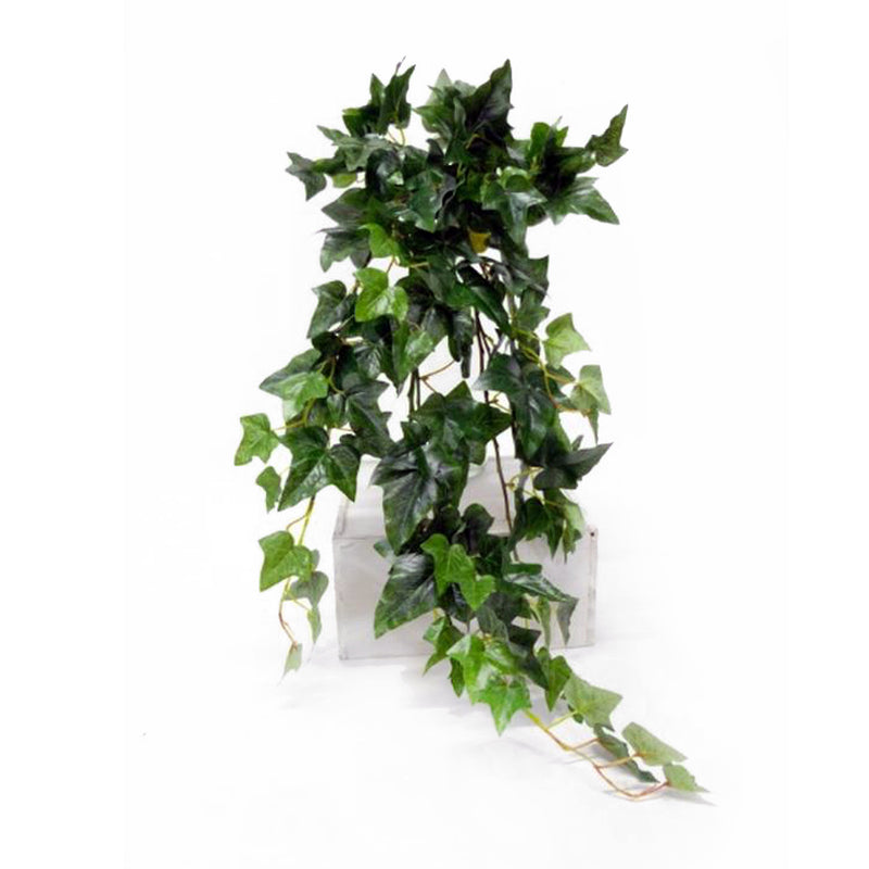 A realistic English Ivy Bush from Artificial Flora on a white background.