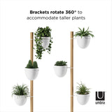 The Floristand Planter - White/Natural brackets in the Umbra range rotate 360 degrees to accommodate taller plants.