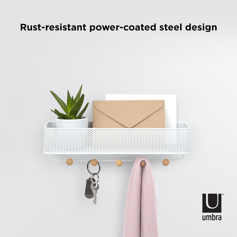 A minimalist Umbra ESTIQUE KEY HOOK & ORGANIZER with a plant and a key mounted on a white shelf.