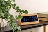 A designer Karlsson clock with a plant displayed on a shelf.