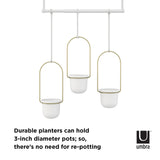 These Umbra TRIFLORA HANGING PLANTERS - White / Brass are perfect for indoor plants, allowing you to showcase 3 of your favorite dimmer parts without the need for repotting. Ideal for window displays.