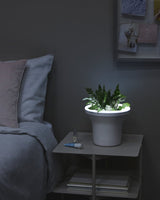 A ORA ILLUMINATED PLANTER bedside table with an Umbra plant on it.