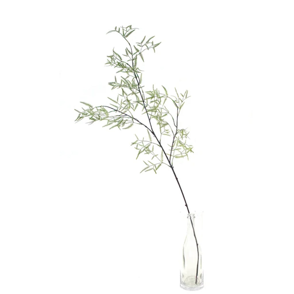 Dwarf Kowhai faux foliage spray with feathery sage-green leaves in a slim glass vase on white