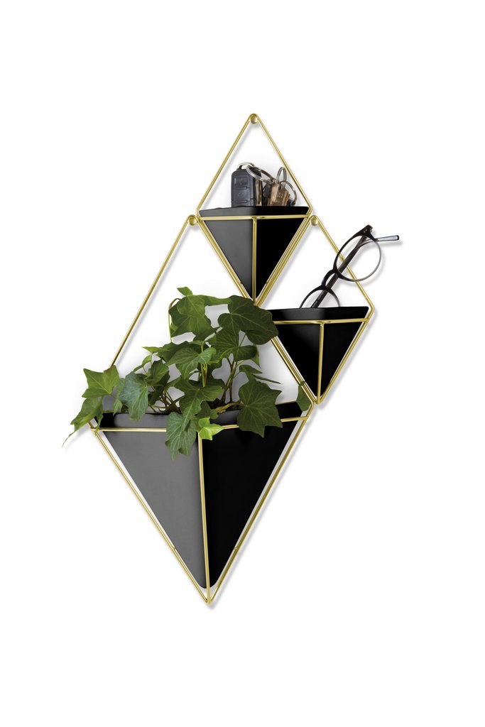 A geometric Umbra Trigg Wall Vessel adorned in elegant black and gold, housing a lush plant.