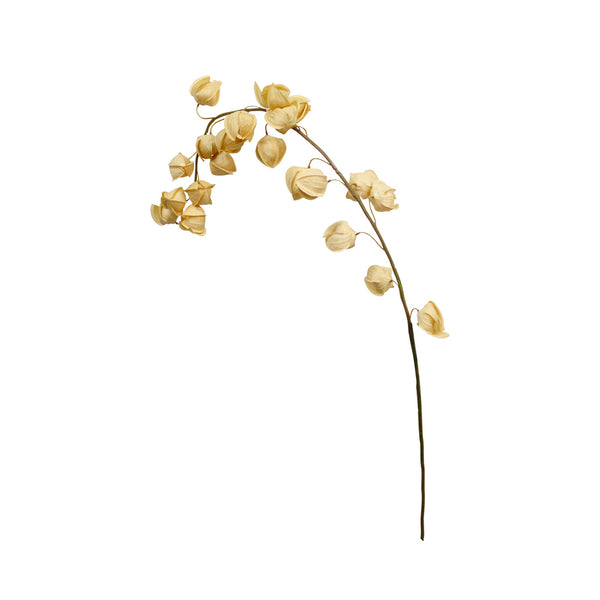 A branch of Artificial Flora Chinese Lantern Long Yellow dried flowers on a white background.