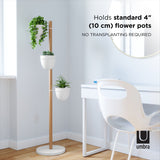 A desk with a Floristand Planter - White/Natural by Umbra on it and a chair.