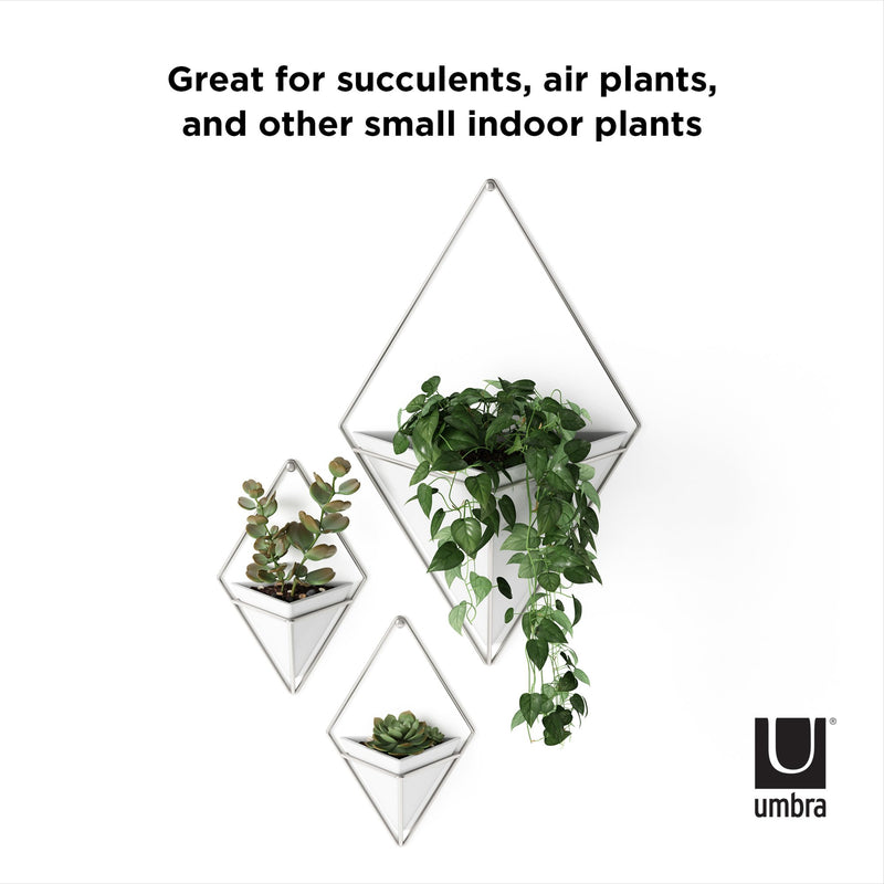 Great for succulents, air plants and other small indoor plants, the Umbra Trigg Wall Vessel | Small Set of Two features a modern design that enhances the aesthetics of your indoor space.