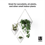 Great for succulents, air plants and other small indoor plants, the Umbra Trigg wall vessels are stylish decorative vessels that enhance any indoor space.