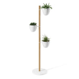 Three potted plants in stylish Umbra Floristand Planters - White/Natural on a wooden stand.