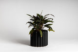 A black planter from Ned Collections called the ALTO VASE WHITE / BLACK.