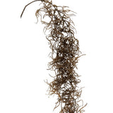 A perfect combo of Artificial Flora's Dried Spanish Moss, with a piece of seaweed hanging on a white background.
