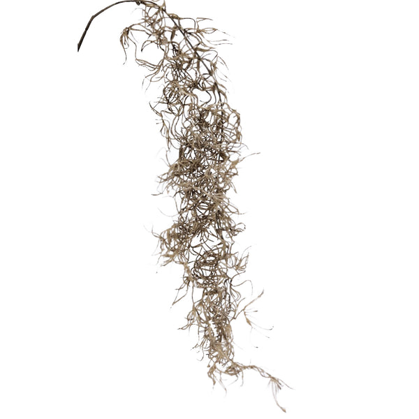 A realistic branch of Dried Spanish Moss on a white background by Artificial Flora.