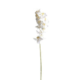 A Real Touch Moth Orchid White by Artificial Flora on a stem against a white background.