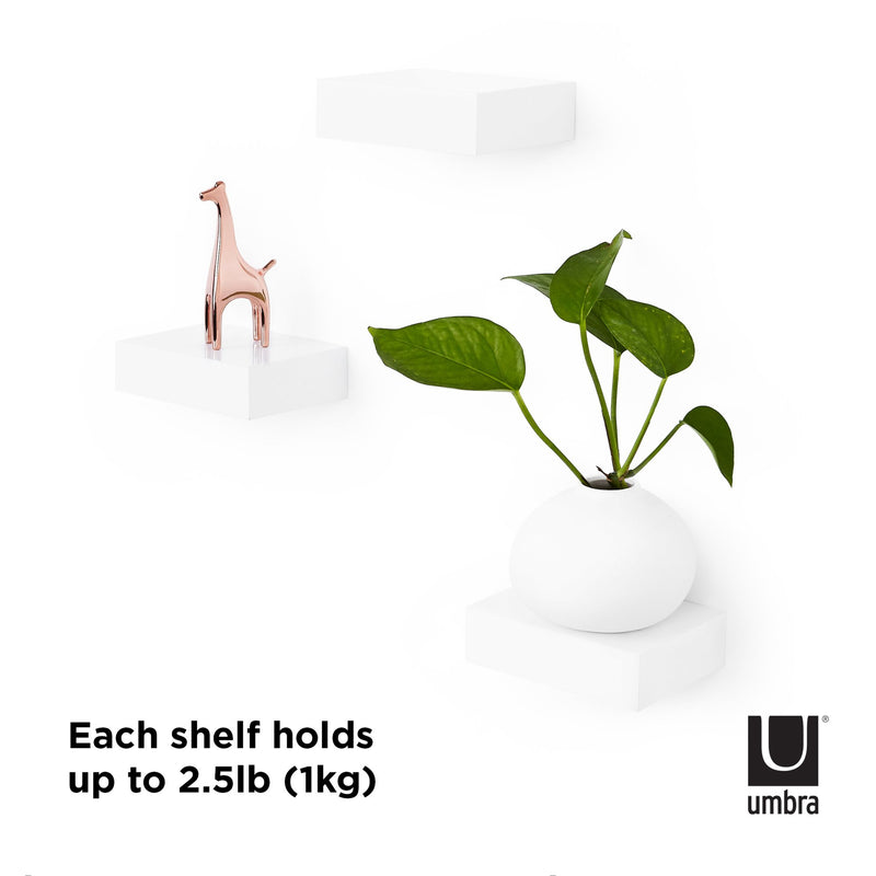 The Umbra brand's Showcase Shelves is a space-saving solution that can hold up to 2 kg per shelf.