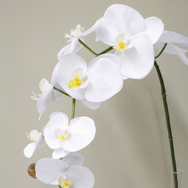 A White Phalaenopsis Orchid Large with greenery in a vase on a table. (Brand name: Artificial Flora)