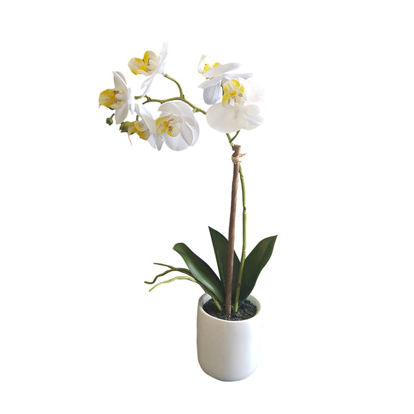 An Artificial Flora White Pot Phalaenopsis Orchid 33cm in a white vase on a white background.