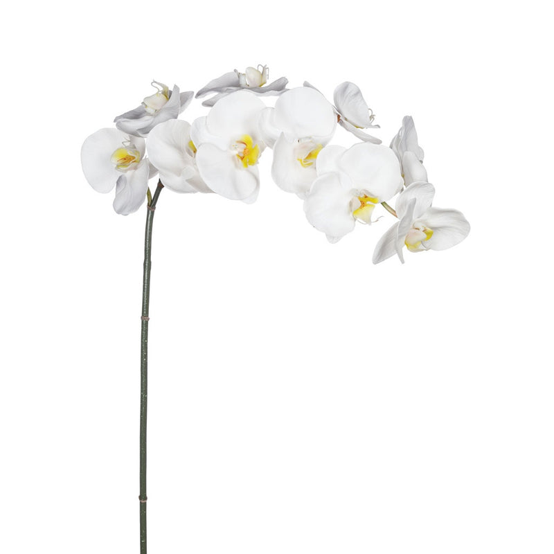 Artificial white Phalaenopsis Orchids on a stem against a white background, adding a touch of maintenance-free greenery. (Brand Name: Artificial Flora)