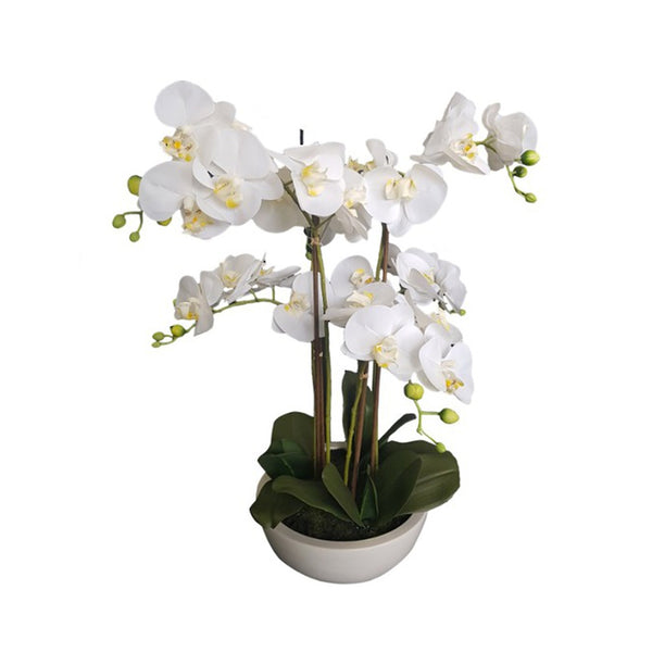 Artificial Flora's Potted Real Touch Orchid White Pot 63cm in a white vase on a white background.