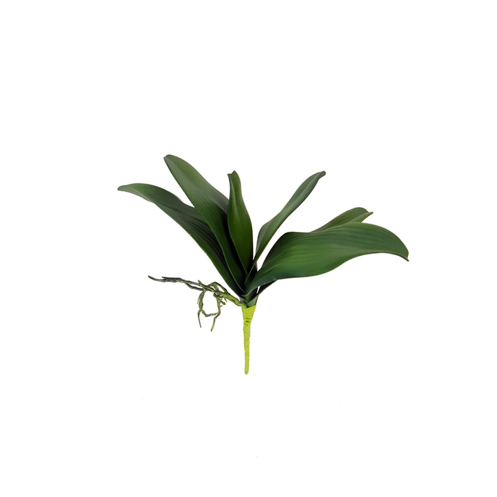 Phalaenopsis Orchid Leaf Spray, 36cm Faux Foliage